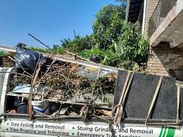 Best Mattress Disposal  in Rockford, MI