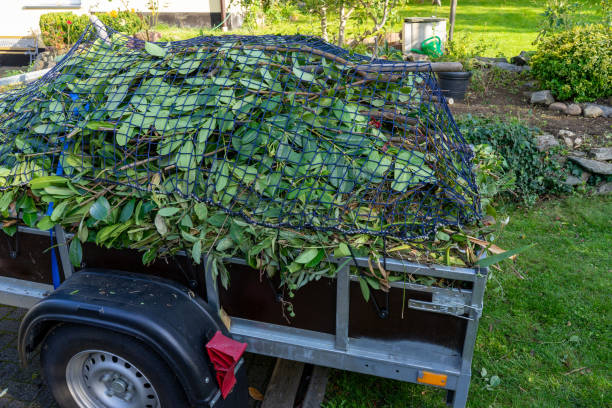 Best Dumpster Rental Services  in Rockford, MI